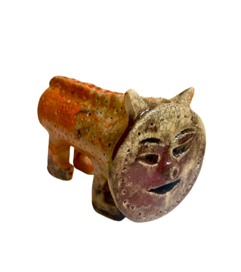 Spiro the cat
